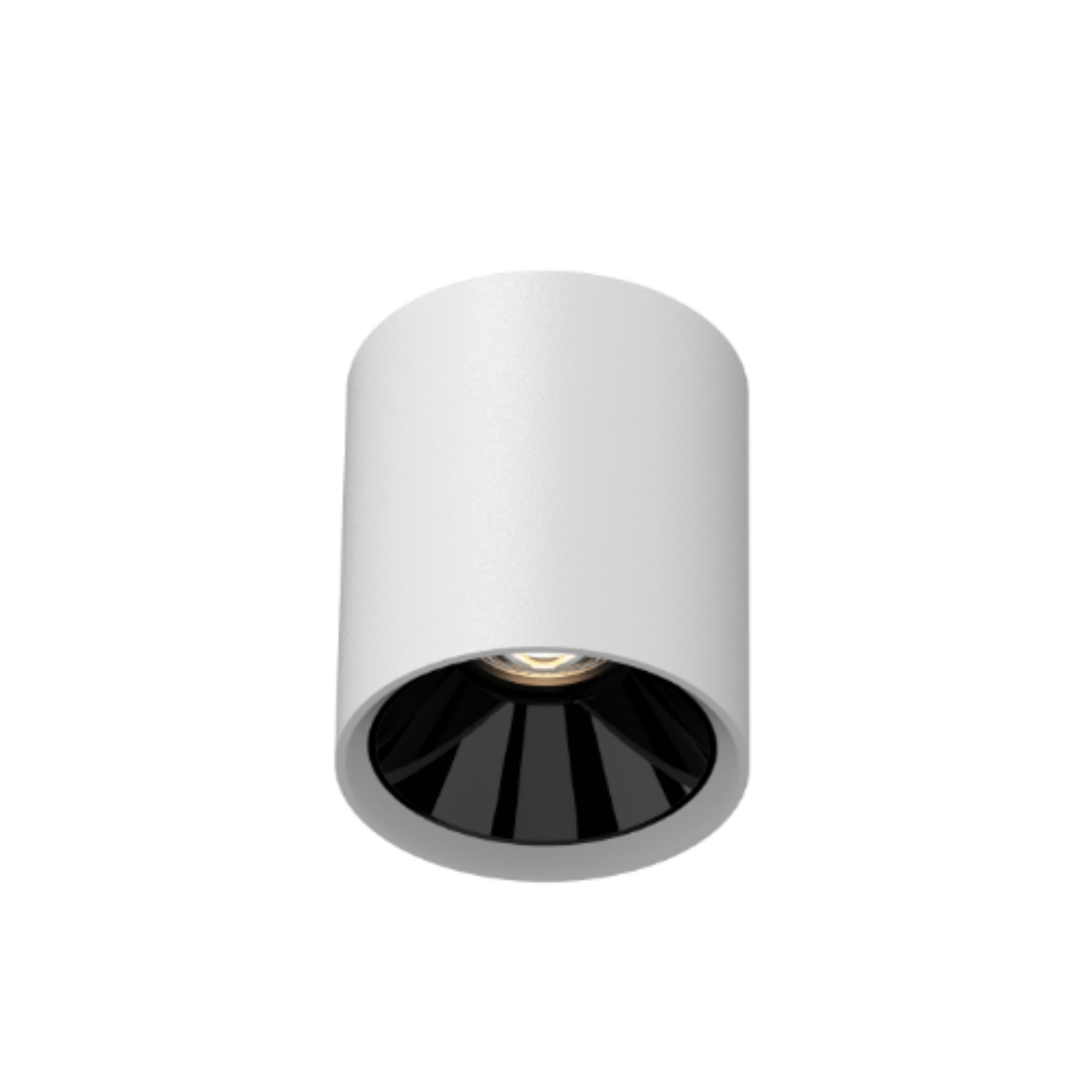 DOWNLIGHT SUPERFICIE REDONDO